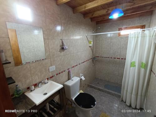 a bathroom with a toilet and a sink and a shower at Cabana del aeropuerto calafate in El Calafate