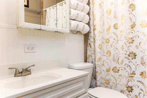 a bathroom with a sink and a toilet and a shower curtain at The Huddle & Hangout - 3 Bedroom House Close to ND in South Bend