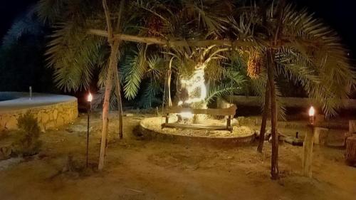 Siwa ajubar resortにある庭
