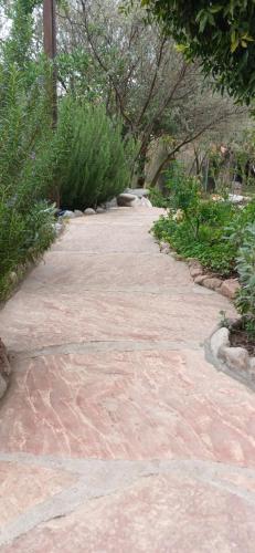 Una pasarela de piedra con árboles y plantas. en Tu Lugar en Capilla Del Monte, en Capilla del Monte