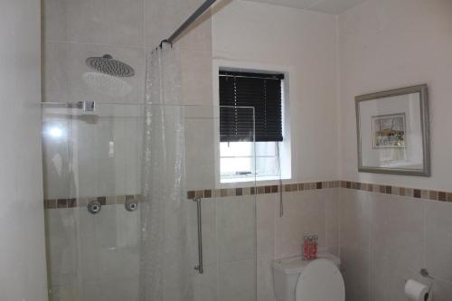 baño con ducha, aseo y ventana en Luxury Garden Retreat 2B Sandton, en Sandton