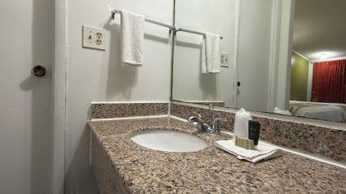 a bathroom counter with a sink and a mirror at Executive Inn in Warner Robins