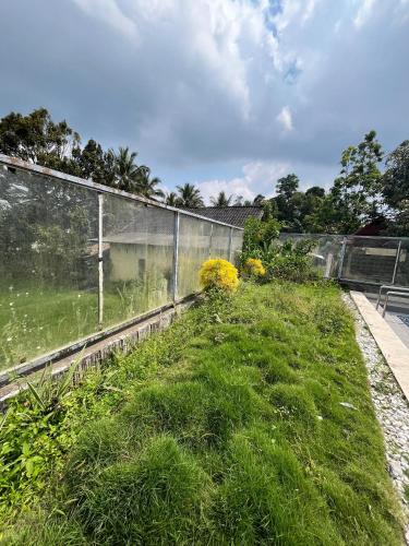 a field of grass next to a fence at Lalinggo Bungalow in Tetebatu