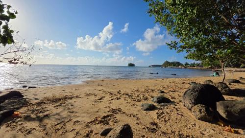 a beach with rocks and water on a sunny day at La Maison de l'Artiste in Hauru