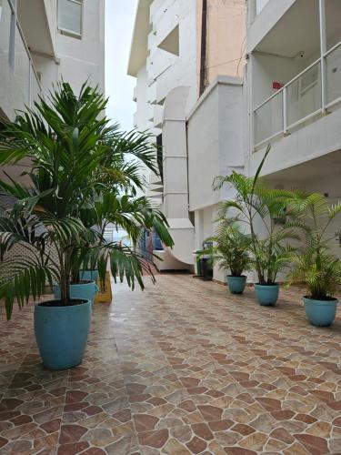a corridor with potted plants on the side of a building at Caribbean Island Hotel Piso 2 in San Andrés