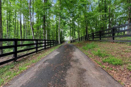 Φωτογραφία από το άλμπουμ του Peace of Joy Acres σε Talking Rock