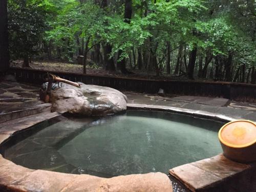 a small pool of water with a rock and trees at Kirishima Onsen Ryokojin Sanso in Kirishima