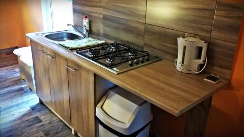 a small kitchen with a stove and a sink at Mieszkanko Nad Śliwką in Stronie Śląskie