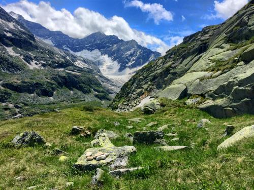 a view of a mountain with grass and rocks at Haus Brandeck in Uttendorf
