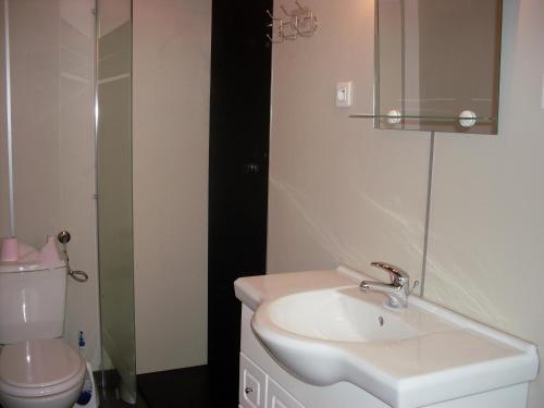 a bathroom with a sink and a toilet at Gîtes Les Grandes Voies - Clé Vacances in Le Ménil