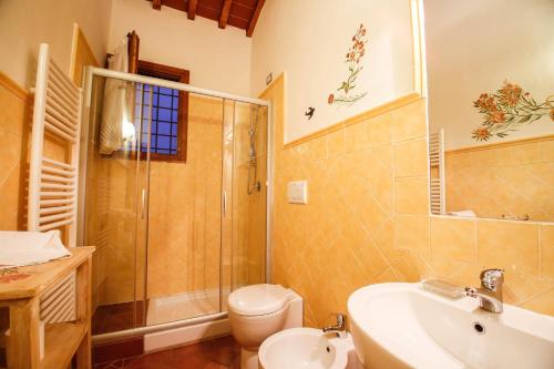 a bathroom with a shower and a toilet and a sink at Gatto Bianco Tizzauli in Montespertoli