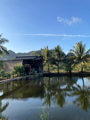 a house with palm trees in front of a body of water at Lego Lego Bulubarakka homestay and cafe in Kasijala