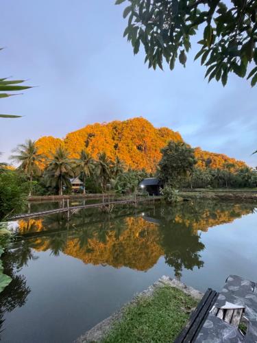 a view of a pond with trees in the background at Lego Lego Bulubarakka homestay and cafe in Kasijala