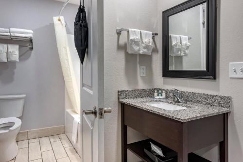 a bathroom with a sink and a toilet and a mirror at Quality Inn & Suites Evansville Downtown in Evansville