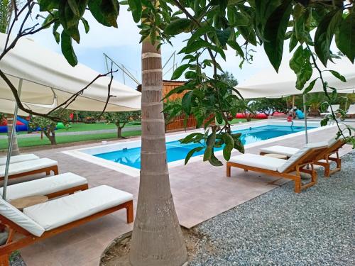 Πισίνα στο ή κοντά στο Mandarhemia Club