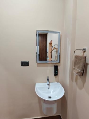 a bathroom with a white sink and a mirror at Linn View Home Stay Munnar in Munnar