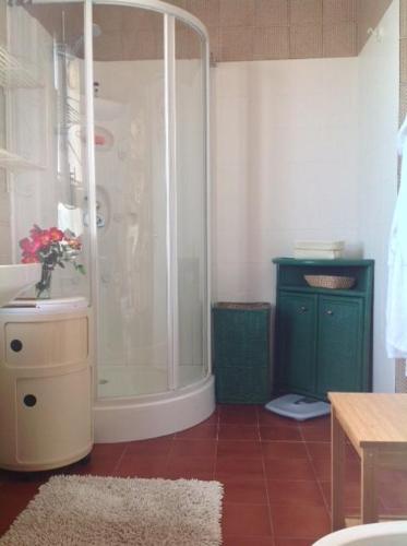 uma casa de banho com um chuveiro e um lavatório. em Resort la villa em Cassine
