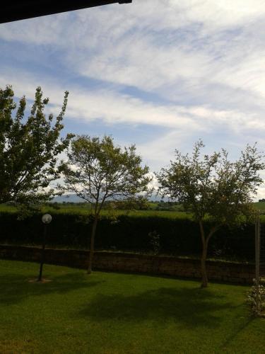 Κήπος έξω από το Il Punto Verde