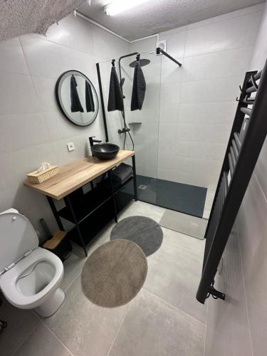 een badkamer met een toilet, een wastafel en een douche bij Là cachette in Remiremont