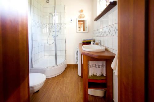 a bathroom with a toilet and a sink and a shower at Siedlisko Grabinowo k/Olsztyna in Olsztyn