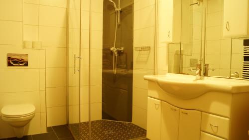 Kylpyhuone majoituspaikassa Ferienwohnungen Dzido