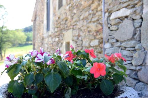 a pot of flowers in front of a stone building at Mas Sabaters - L'Era de Sabaters in Tavernoles