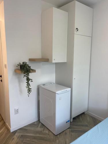 eine Waschmaschine in einem Raum mit weißen Schränken in der Unterkunft Garsonieră stil hotel in Slatina