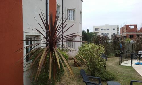 a potted plant sitting next to a building at Hotel Queguay in Colón