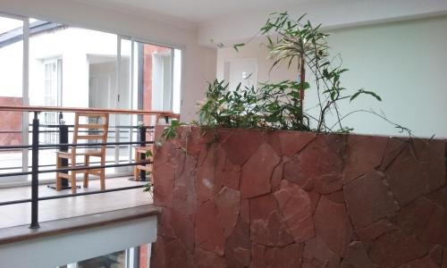 a stone wall with a plant on a balcony at Hotel Queguay in Colón
