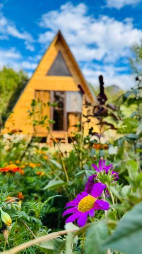 a flower in the foreground with a house in the background at Old farm in Ijevan