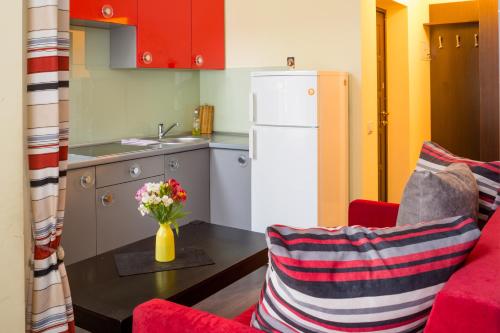 Kuchyň nebo kuchyňský kout v ubytování Apartment Fedkovycha
