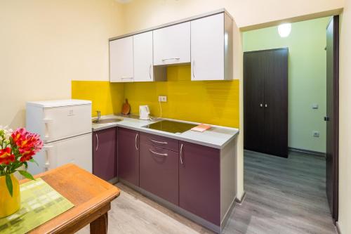 Kuchyň nebo kuchyňský kout v ubytování Apartment Fedkovycha