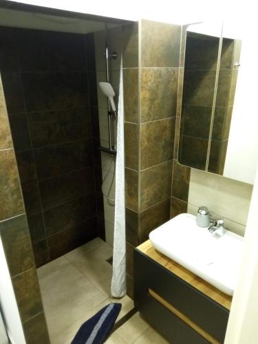 a bathroom with a sink and a shower at Apartmány Opolany in Opolany