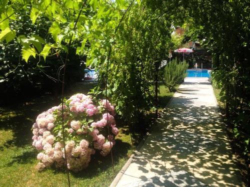 Fotografie z fotogalerie ubytování Villa Amsterdam v destinaci Ohrid