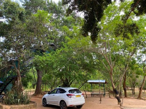 a white car parked in front of some trees at Yala Wild Tree House in Hambantota