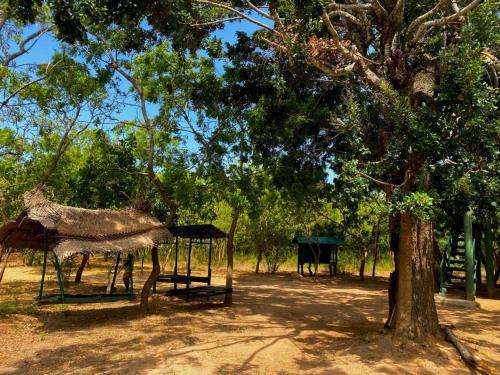 a park with a tree and a gazebo at Yala Wild Tree House in Hambantota