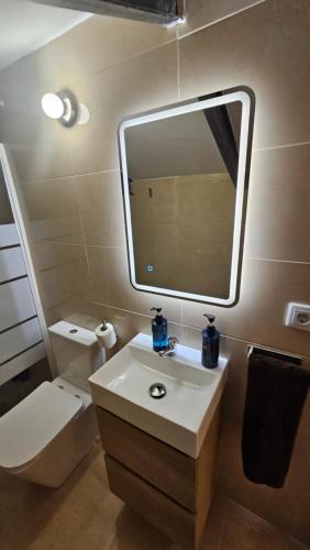 a bathroom with a sink and a mirror and a toilet at Ático para 2 personas en Jaén in Jaén