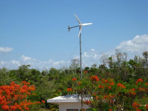 Galería fotográfica de Serenity Sands en Corozal