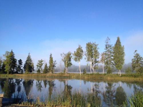 a large lake with trees and reflections in the water at Sammuli Holiday Village in Viljandi