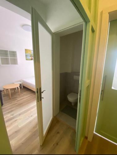 an open door to a bathroom with a toilet at Garsoniéra Ostrava City centr, Na Hradbách 118 in Ostrava