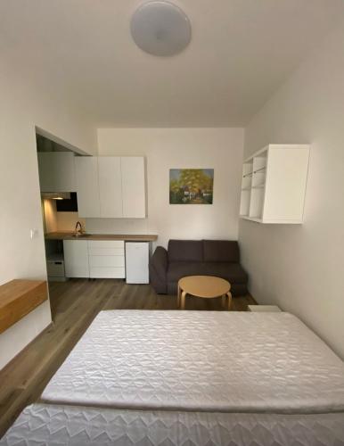 a bedroom with a bed and a couch in a room at Garsoniéra Ostrava City centr, Na Hradbách 118 in Ostrava