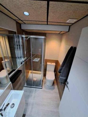 a bathroom with a toilet and a sink at ACC Serrano aparcamiento cercano in Jaén