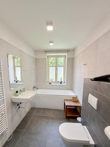 a bathroom with a tub and a sink and a toilet at Apartmán Pepuška in Kašperské Hory