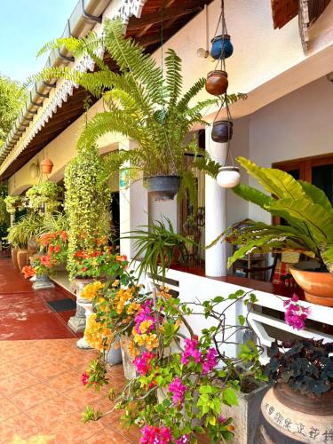 a greenhouse filled with lots of plants and flowers at Embiente Guest House in Negombo
