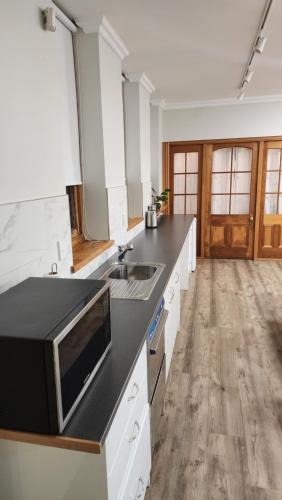 a kitchen with a sink and a microwave at Castle Studio Apartment in Dunedin