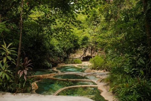 Landskap semula jadi dekat dengan resort