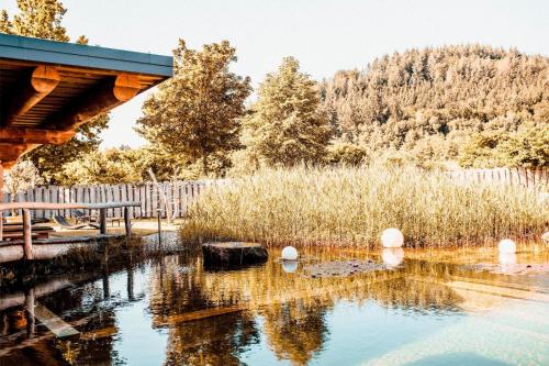 a bridge over a pond with trees in the background at Spa Camping Schwarzwälder Hof in Seelbach