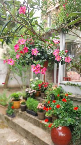 a bunch of flowers in pots on a window sill at Chambres dans une maison de charme au calme en bord de Marne proche transports in Joinville-le-Pont