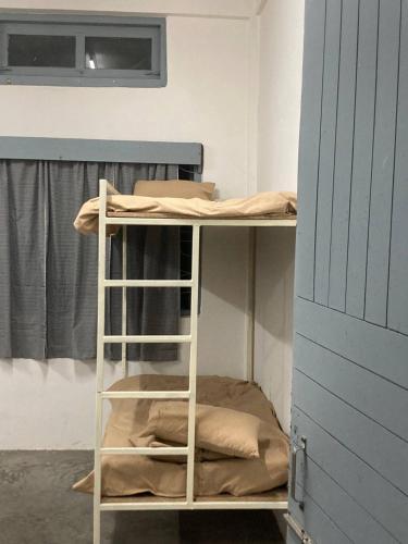 a bunk bed with a ladder next to a bunk bed at Naga Hills Backpacker Hostel in Kohīma