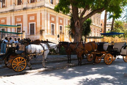 Limehome Sevilla Calle Pureza photo 55